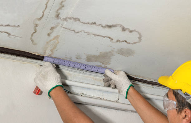 Reliable Basement Water Removal contractor in Nashport, OH by Water Damage Irwin